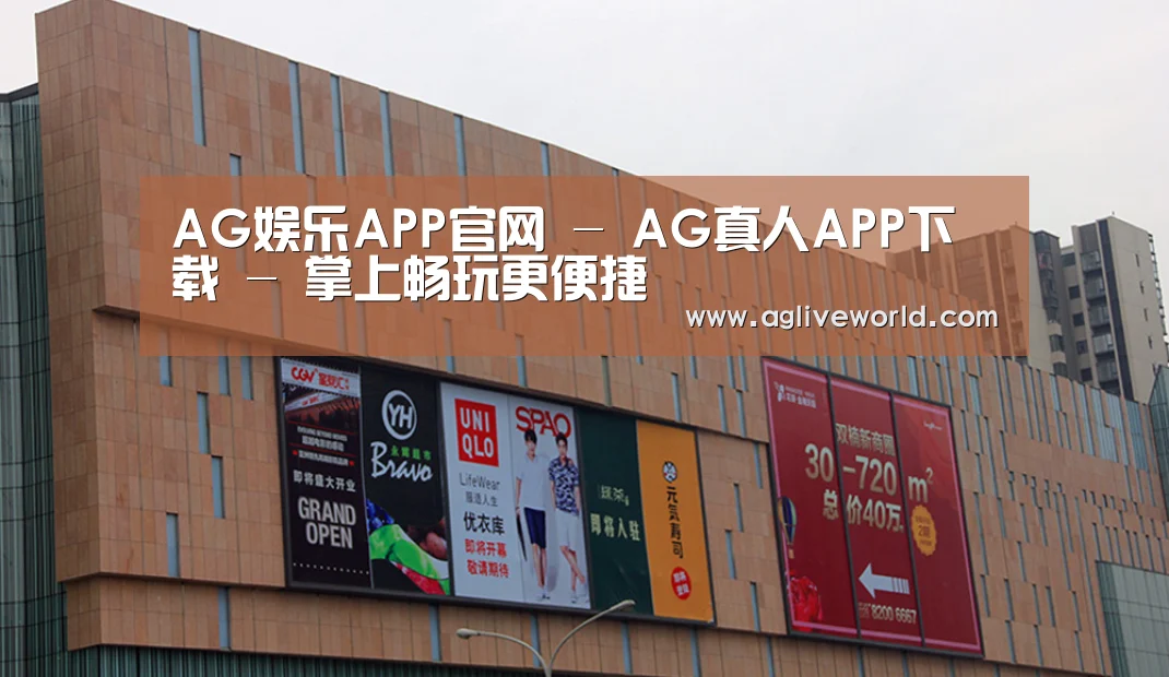 龙湖 · 金楠天街(图1)
